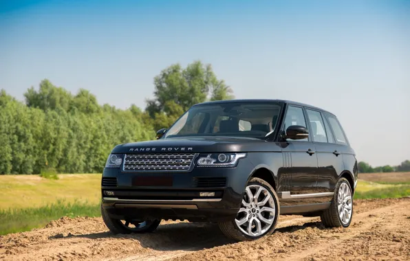 Дорога, природа, Range Rover, Rover, Range