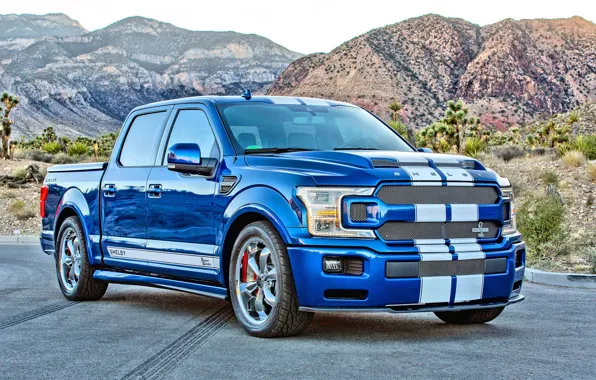 Картинка Ford, Shelby, 2018, F-150, Super Snake, Shelby F-150 Super Snake 2018