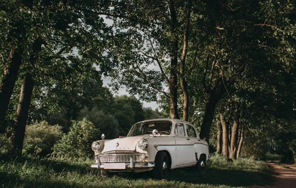 Car, Nature, Trees, Old Car, Oldtimer, Artur Stanulevich