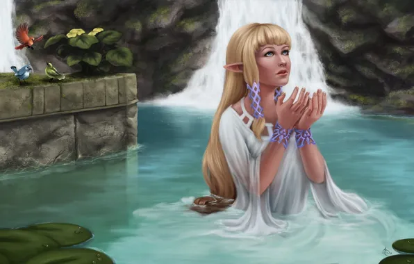 Девушка, птицы, озеро, руки, арт, водопады, The Legend of Zelda