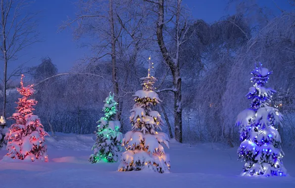 Картинка зима, иней, снег, деревья, синий, желтый, красный, огни