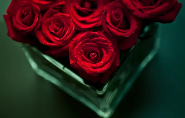 Картинка цветы, стол, розы, букет, красные, ваза