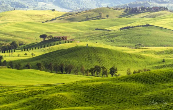 Green, europe, field
