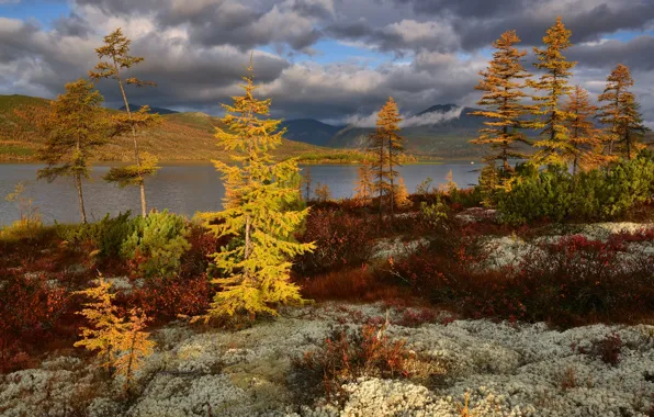 Картинка осень, облака, деревья, пейзаж, горы, природа, растительность, кустарники
