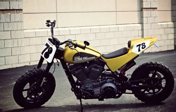 Harley Davidson, Motorcycle, Flat Tracker