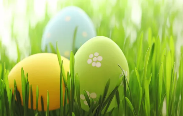 Трава, Пасха, spring, Easter, eggs, Happy, pastel, яйца крашеные