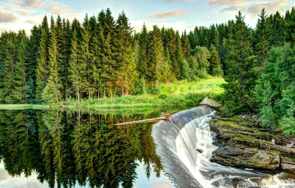 Лес, небо, трава, облака, деревья, пейзаж, природа, река