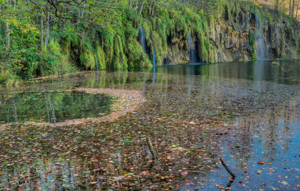 Картинка листья, озеро, мох, водопады, Хорватия, Plitvice Lakes