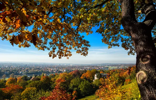 Картинка осень, деревья, мост, город, дерево, вид, дома, Германия