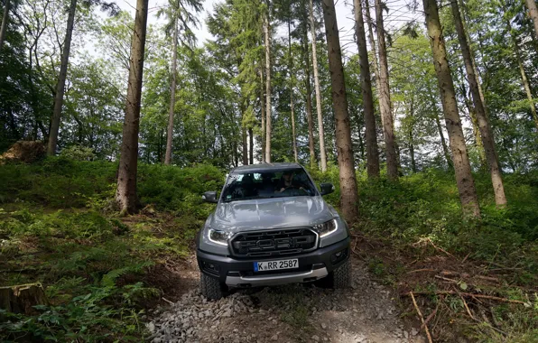 Лес, серый, спуск, Ford, Raptor, пикап, Ranger, 2019