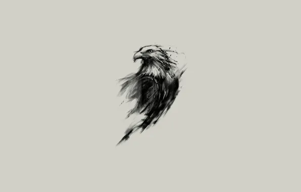 Взгляд, орел, рисунок, крылья, минимализм, перья, клюв, арт