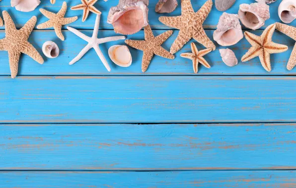 Картинка пляж, фон, доски, звезда, ракушки, summer, beach, wood