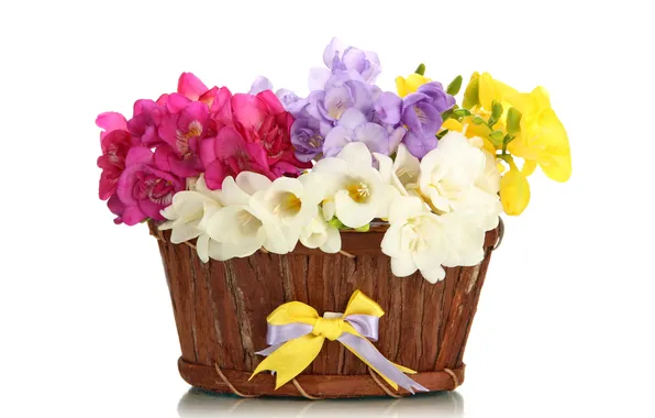 Цветы, корзина, букет, бант, flowers, basket