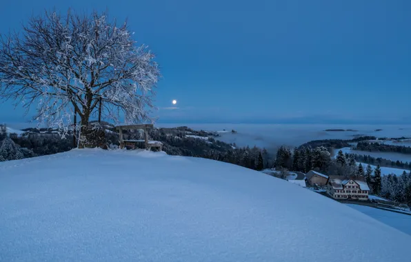 Картинка зима, горы, ночь, природа, туман, скамья
