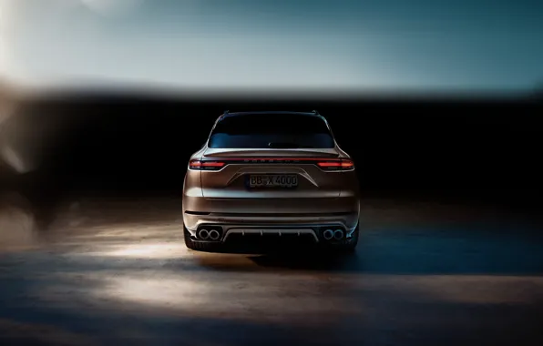 Porsche, вид сзади, Turbo, 2018, Cayenne, TechArt
