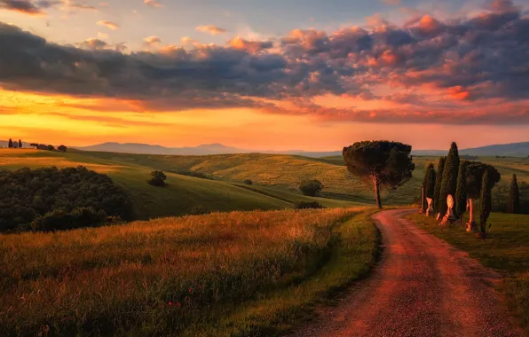 Картинка дорога, небо, облака, свет, поля, вечер, утро, Италия