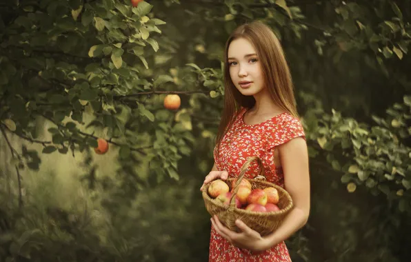 Картинка лето, девушка, деревья, природа, корзина, яблоки, сад, платье
