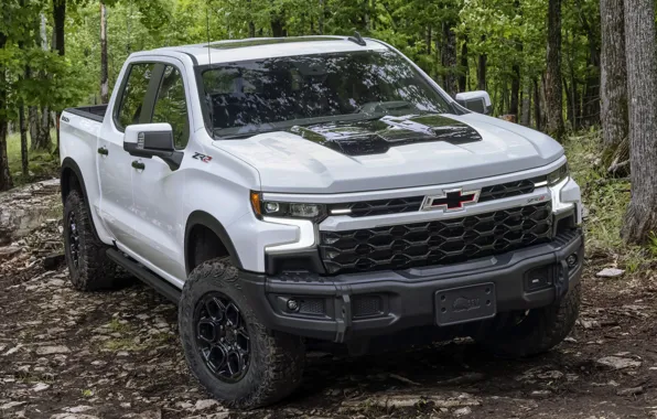 Картинка Chevrolet, Crew Cab, Silverado, Bison, ZR2, 2023