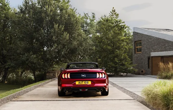 Картинка Ford, кабриолет, 2018, корма, тёмно-красный, Mustang Convertible