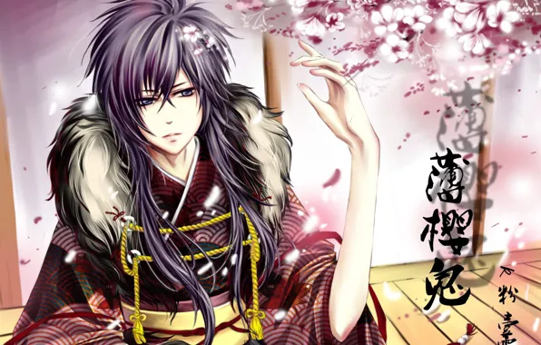 Картинка цветы, сакура, самурай, иероглифы, парень, Hakuouki, Saitou Hajime, демоны бледной сакуры