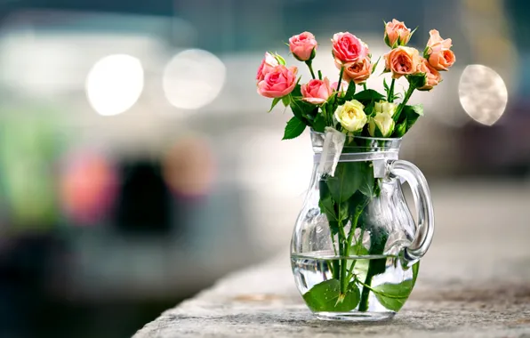Rose, nature, beautiful, pretty, beauty, still life, vase, lovely