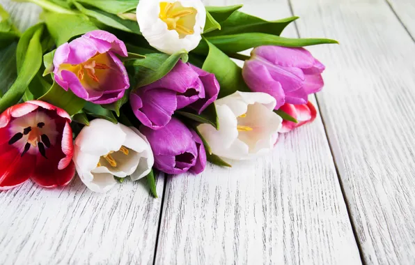 Цветы, букет, colorful, тюльпаны, wood, flowers, tulips, spring