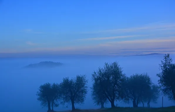 Небо, облака, деревья, закат, горы, туман