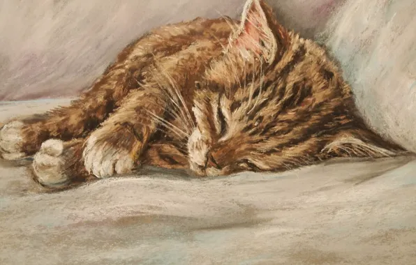 Картинка кот, спящий котёнок, рыжий котёнок, D.Burgus