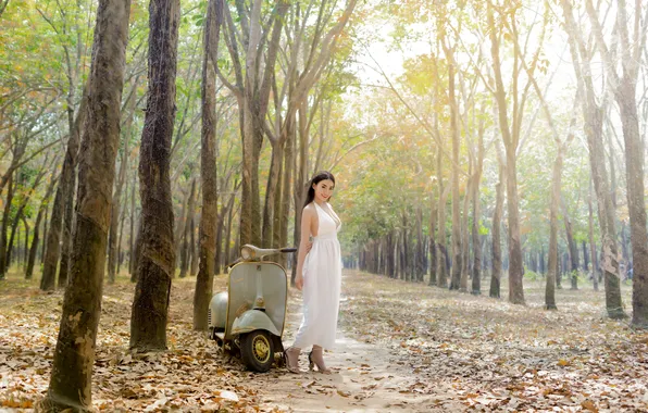 Wallpaper, girl, sexy, woman, model, china, asian, cute