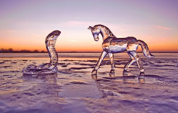 Зима, стекло, закат, конь, лошадь, змея, лёд, вечер