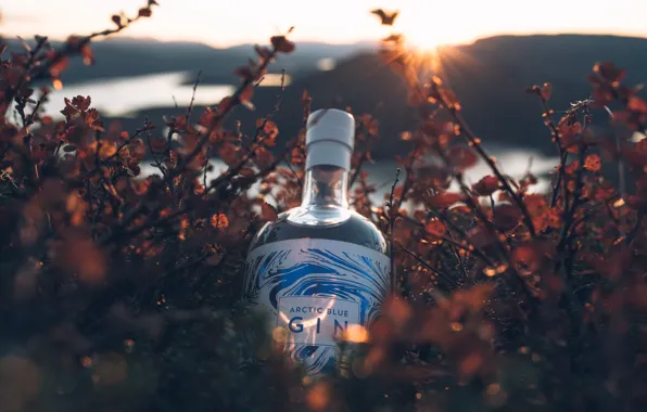 Природа, Бутылка, Nature, Финляндия, Finland, Джин, Арктический голубой джин, Arctic Blue Gin