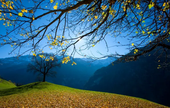 Картинка осень, небо, трава, листья, деревья, горы