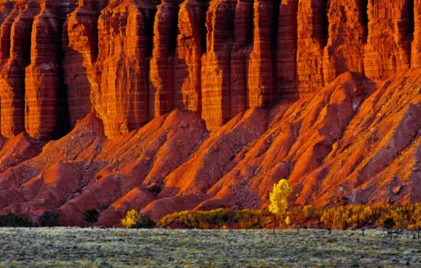 Осень, деревья, скалы, долина, Юта, США, гороы, Torrey