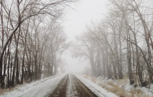 Картинка road, trees, winter, fog, branches