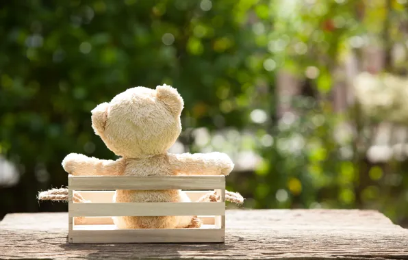 Картинка игрушка, сад, медведь, bear, garden, teddy, одинокий, cute