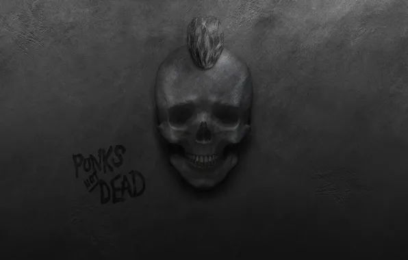 Картинка стена, череп, панки, ирокез, панк-рок, punks not dead, панки живы