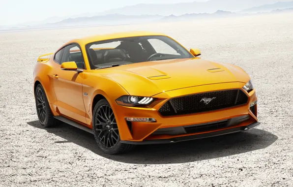 Mustang, Ford, Fastback, Desert, 2017, V8