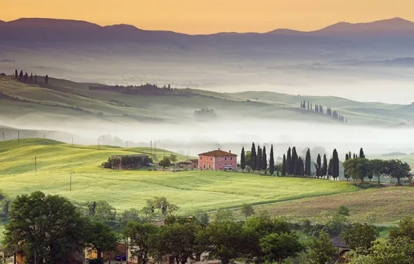 Туман, Италия, house, Italy, hills, кипарис, mist, Tuscany