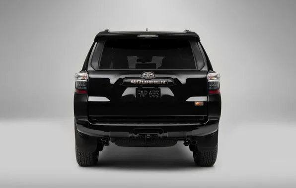 Toyota, вид сзади, Special Edition, 40th Anniversary, 4Runner