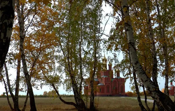 Осень, фон, Лес, храм, берёзы, ОМСК, Сибирь