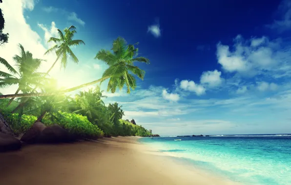 Картинка песок, море, пляж, солнце, тропики, пальмы, океан, берег