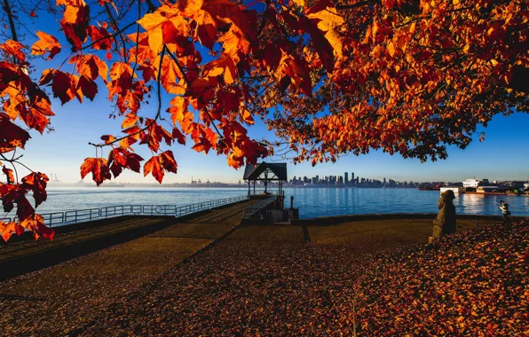 Картинка осень, Канада, Ванкувер, Canada, Vancouver