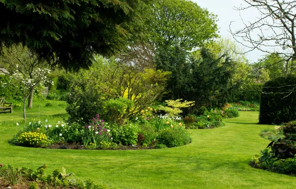 Картинка зелень, трава, деревья, цветы, скамейка, сад, Великобритания, кусты