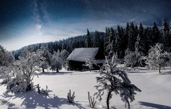 Зима, снег, деревья, пейзаж, елки, хижина, forest, trees