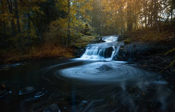 Картинка осень, лес, листья, вода, солнце, деревья, каскад