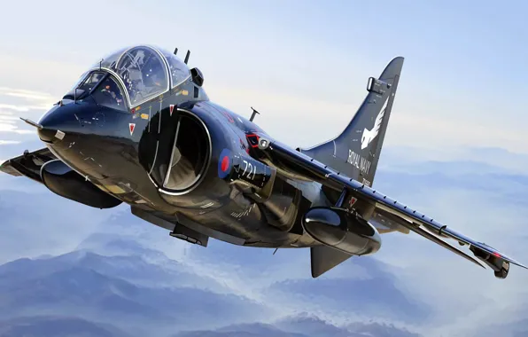 Картинка BAE Harrier II, вертикального взлёта и посадки, Королевские ВМС, британский палубный, Королевский военно-морской флот Великобритании, …