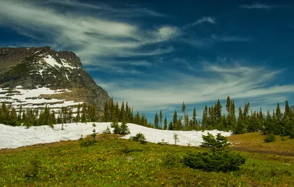 Небо, облака, деревья, гора, Монтана, Glacier National Park, Скалистые горы, Montana