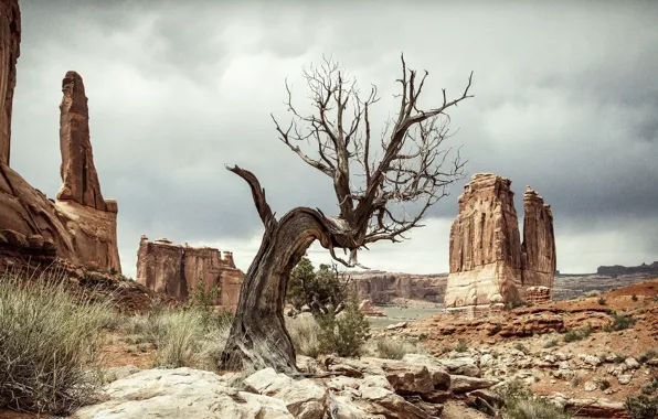Grand, United States, Utah