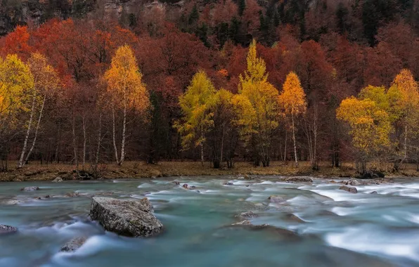 Осень, Деревья, Река, Spain, Aragon, Huesca, Ордеса-и-Монте-Пердидо Park, Ordesa y Monte Perdido Park