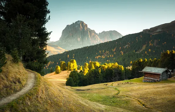 Grass, photography, trees, Italy, nature, mountains, Dolomites, golden hour